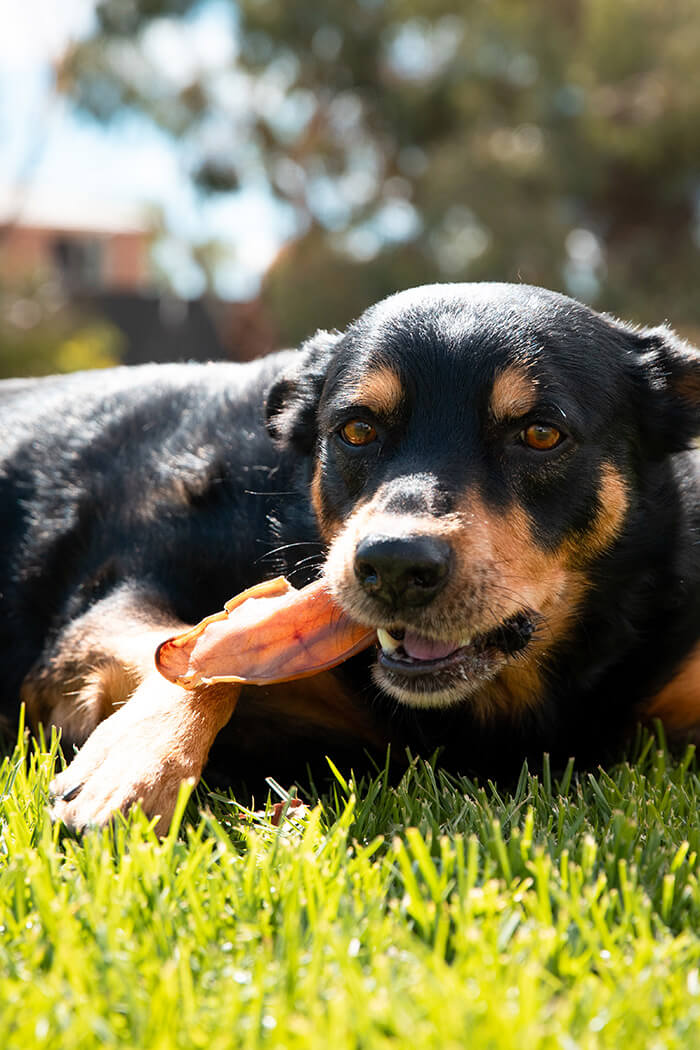 Default Title
